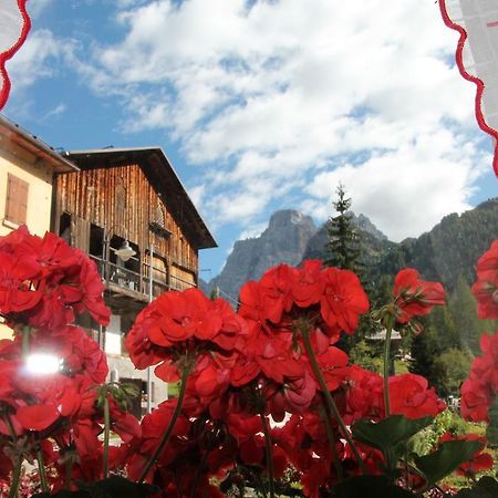Dolomites Holidays Selva di Cadore Room photo